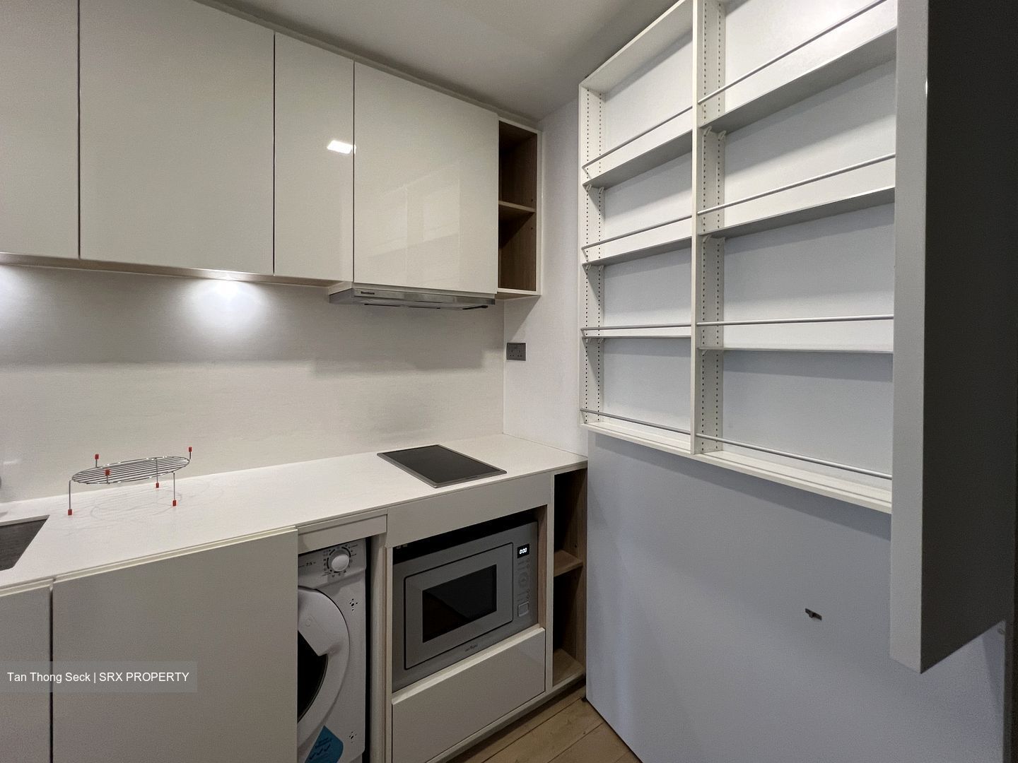 Skysuites@Anson (D2), Apartment #545358431